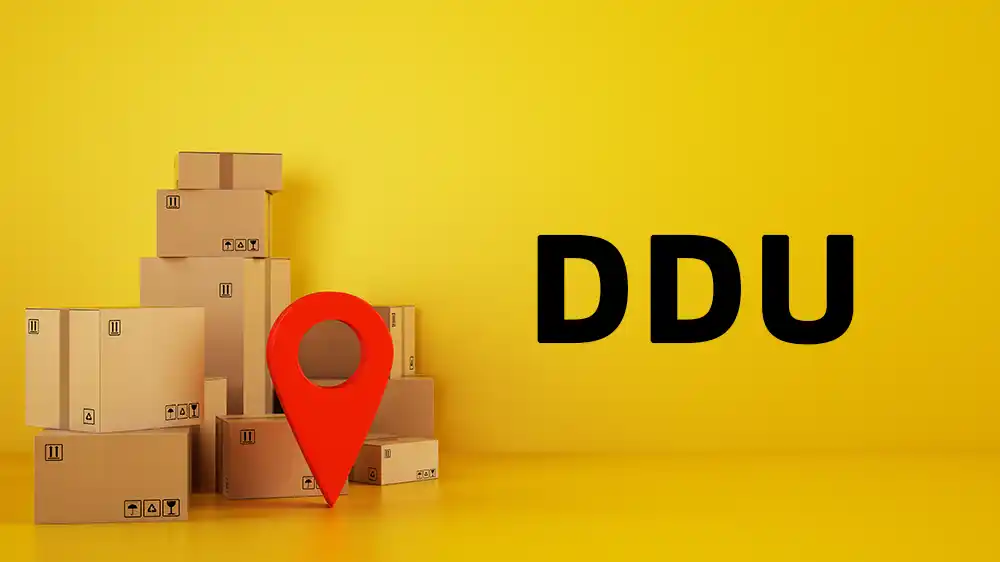 WHAT IS ddu WHILE SHIPPING FROM CHINA