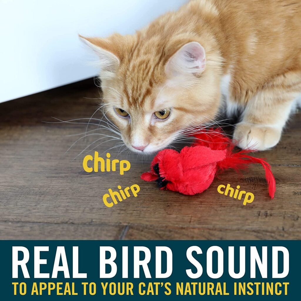 Chirping Bird Cat Toy