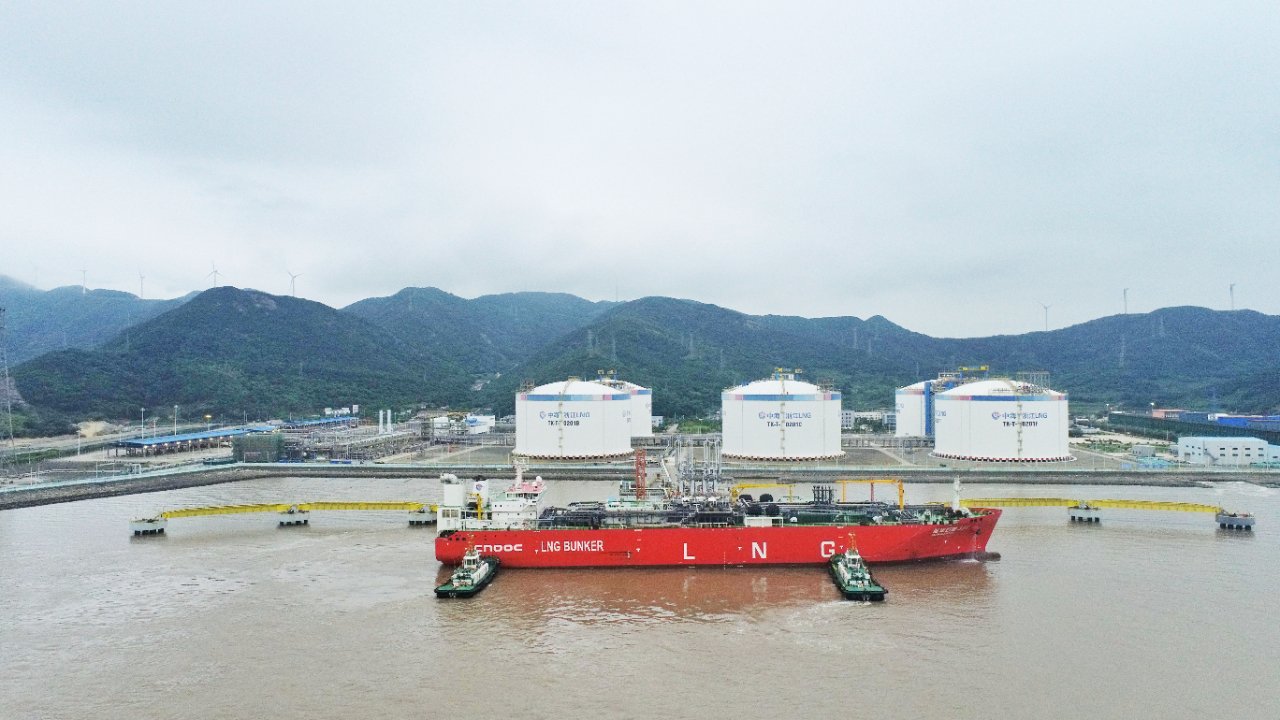Ningbo-Zhoushan Port: The Deep-Water King of Bulk & Efficiency in 2026